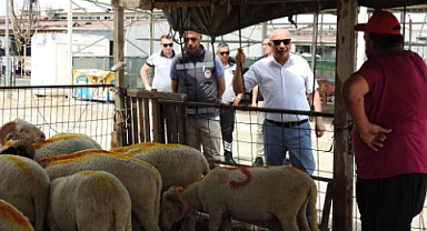 Lüleburgaz'da Kurban Pazarı Denetlendi 